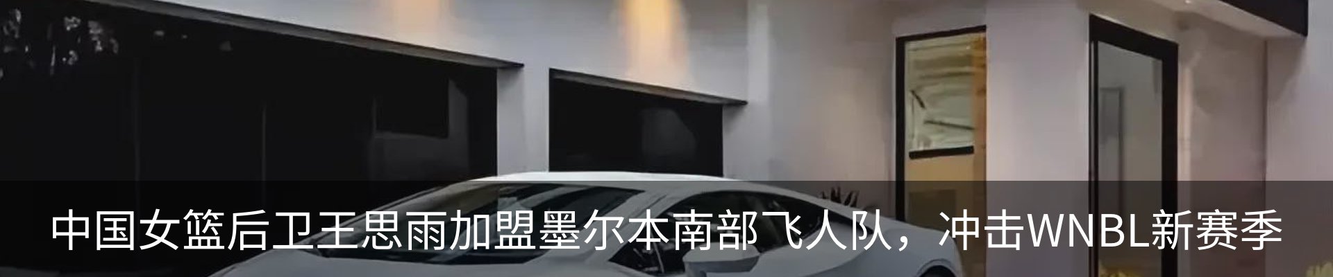 最新动态