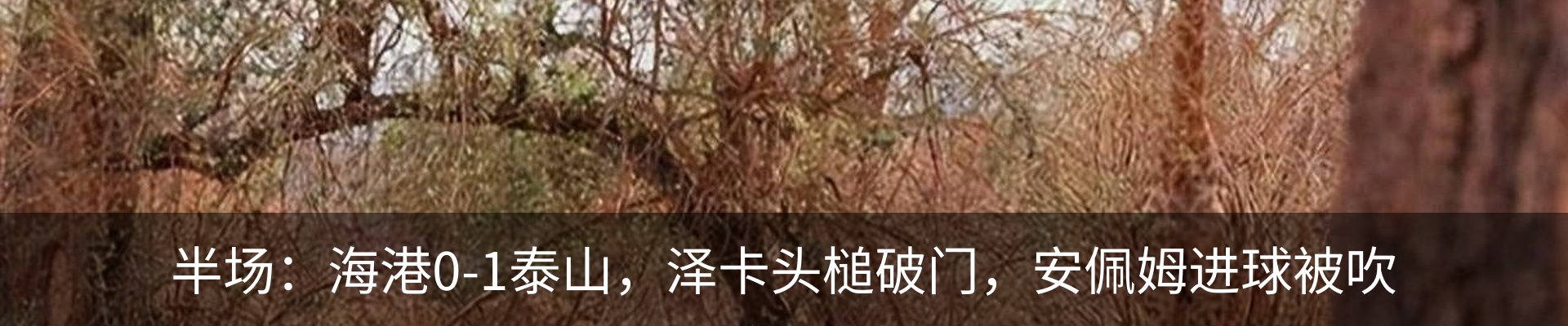 最新动态