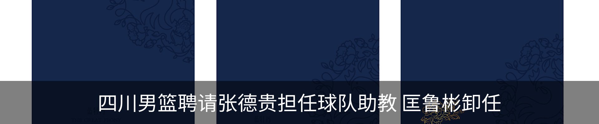 最新动态
