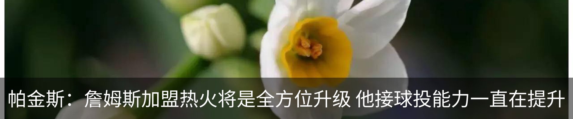最新动态