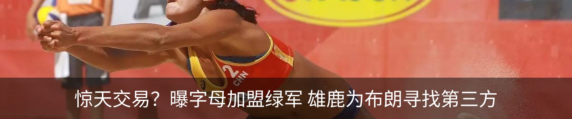 最新动态