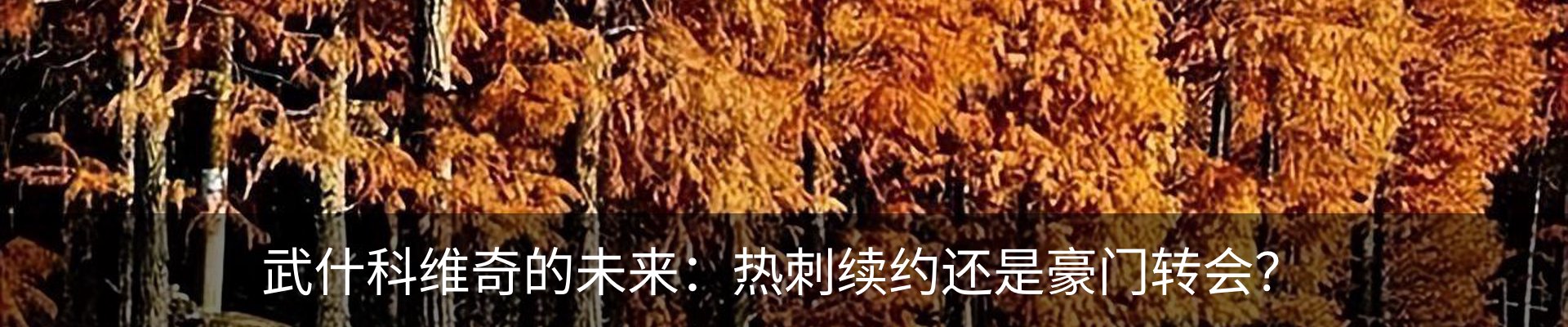 最新动态