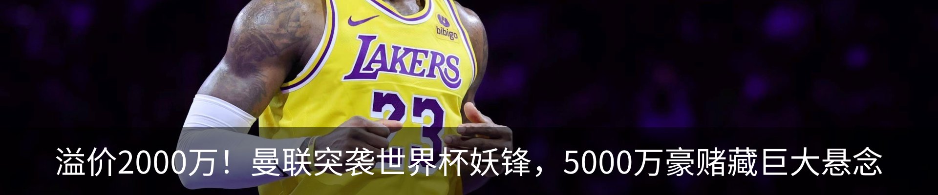 最新动态