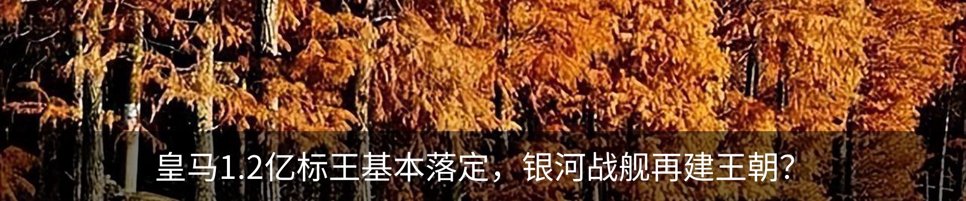 最新动态