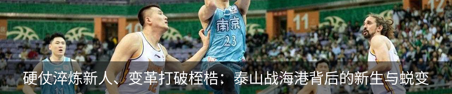 最新动态