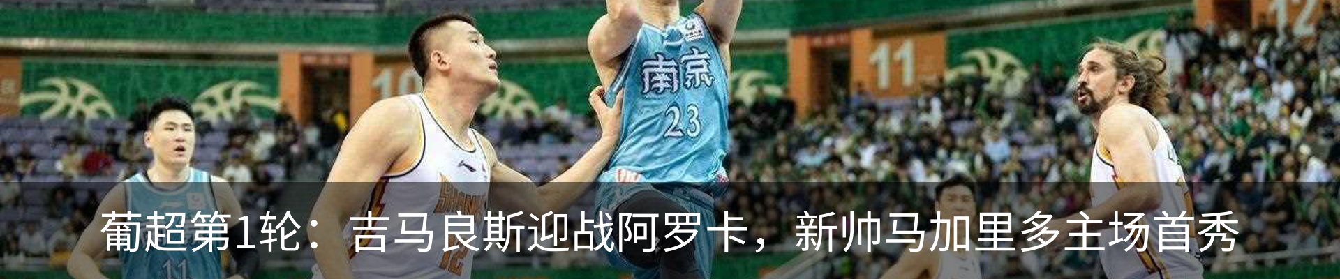 最新动态