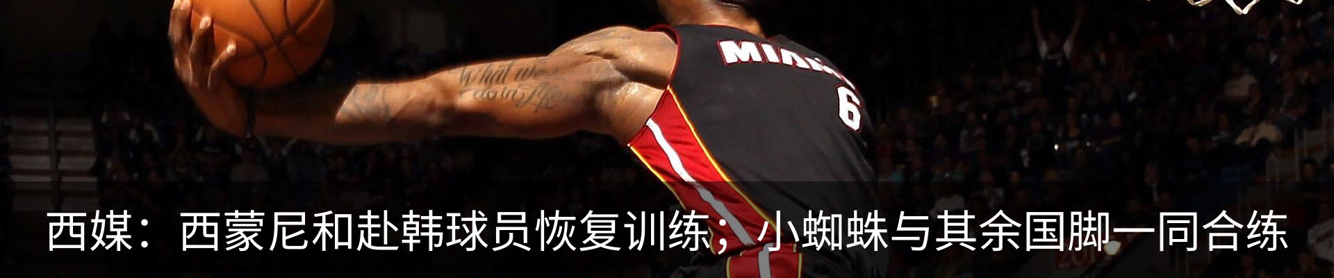 最新动态