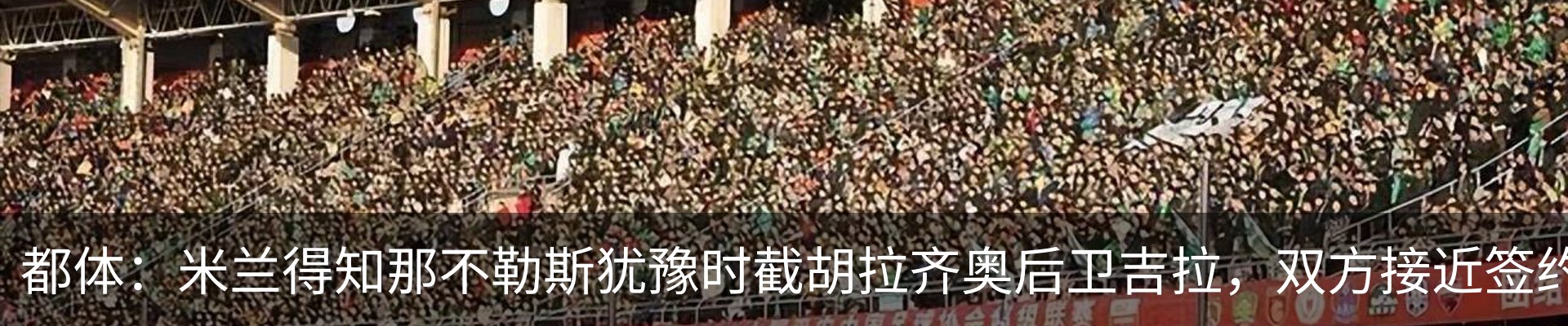 最新动态